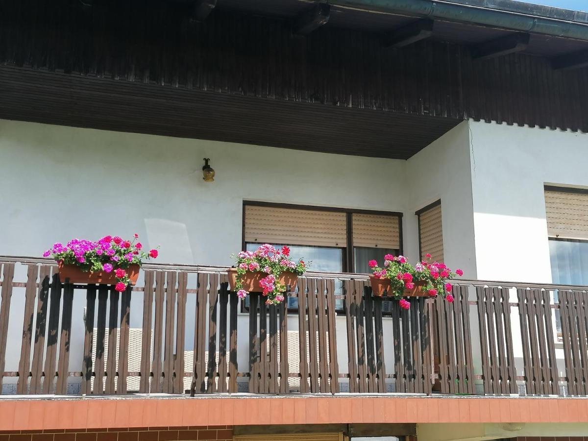 Apartments Novak Ljubno Zewnętrze zdjęcie