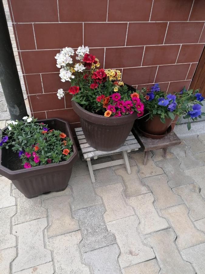 Apartments Novak Ljubno Zewnętrze zdjęcie