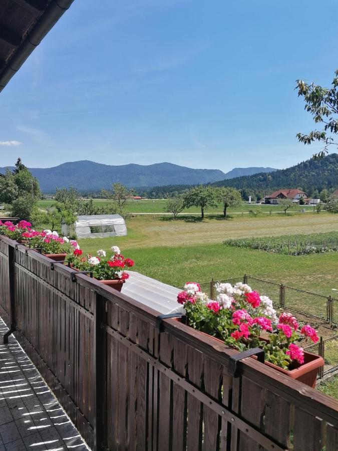 Apartments Novak Ljubno Zewnętrze zdjęcie