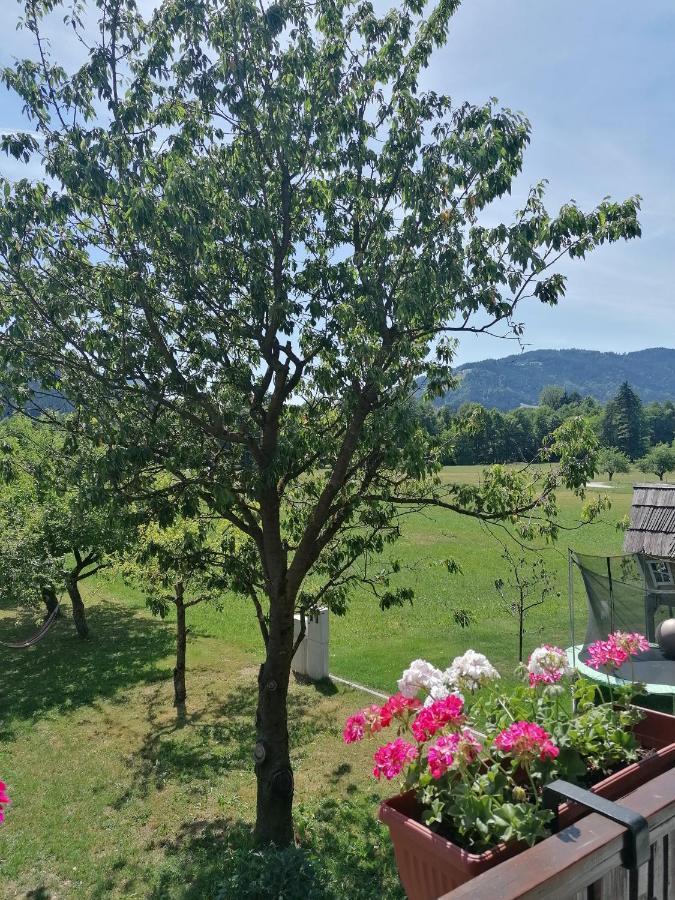 Apartments Novak Ljubno Zewnętrze zdjęcie