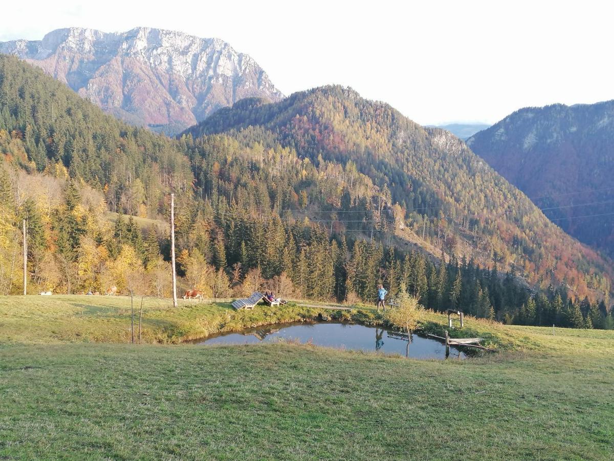 Apartments Novak Ljubno Zewnętrze zdjęcie