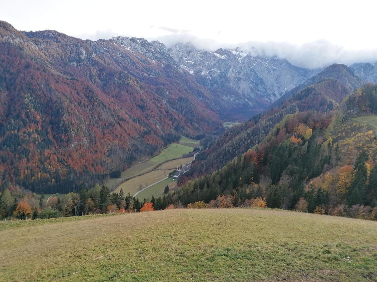 Apartments Novak Ljubno Zewnętrze zdjęcie