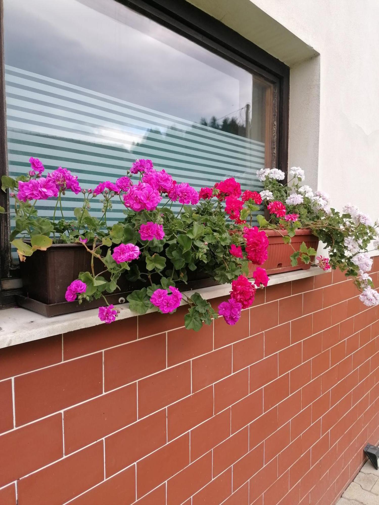 Apartments Novak Ljubno Zewnętrze zdjęcie