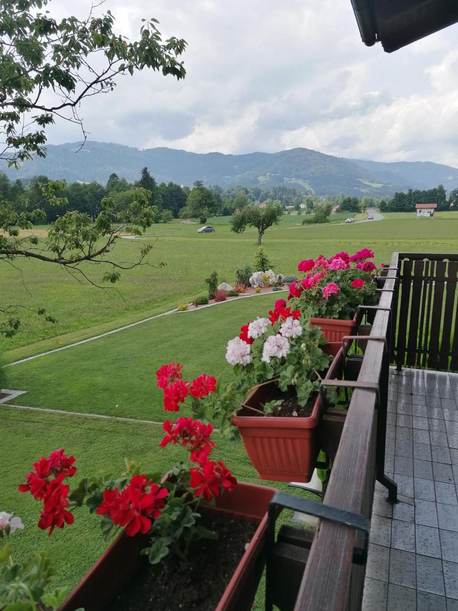 Apartments Novak Ljubno Zewnętrze zdjęcie