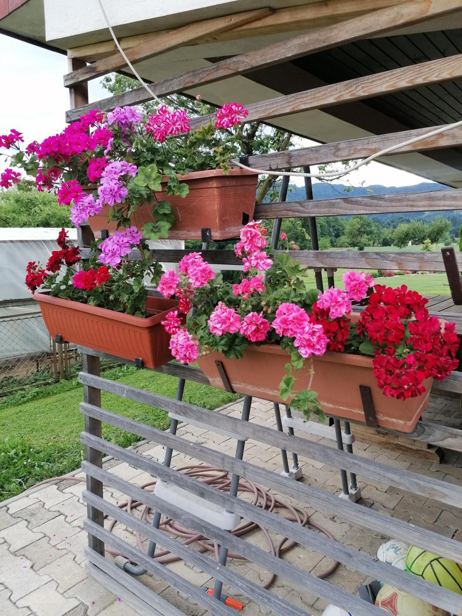 Apartments Novak Ljubno Zewnętrze zdjęcie