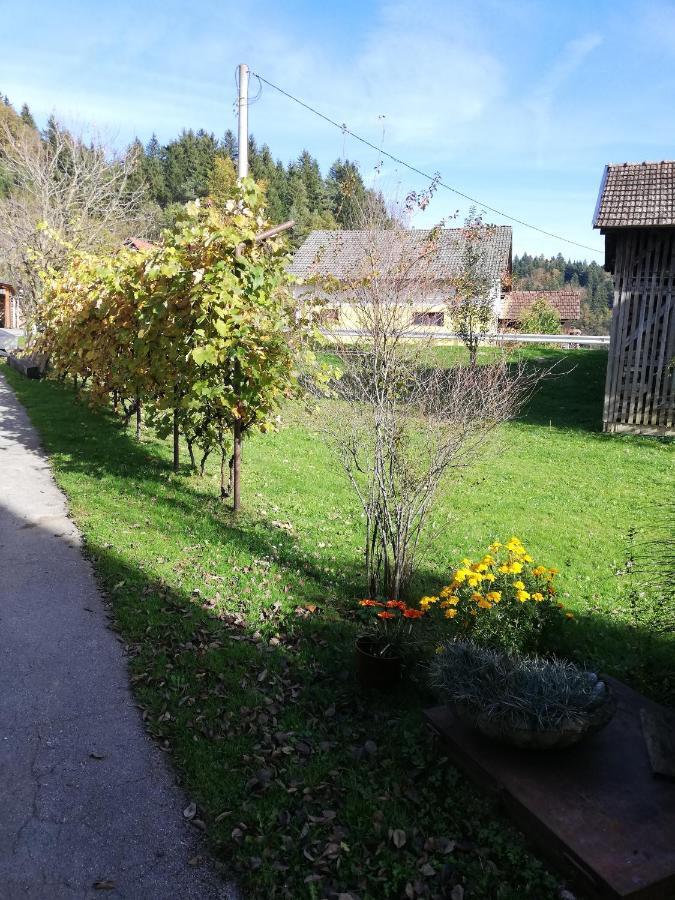 Apartments Novak Ljubno Zewnętrze zdjęcie